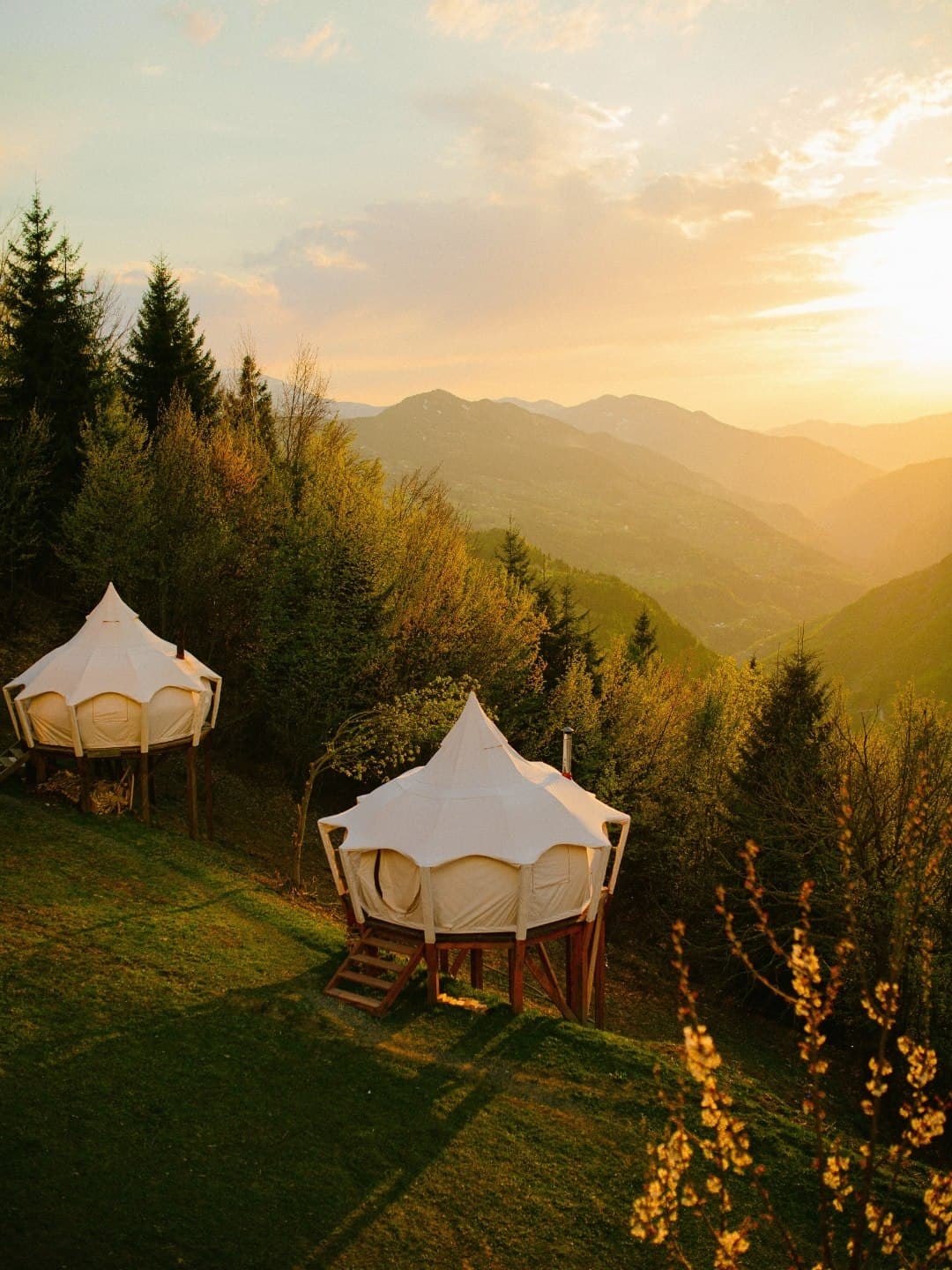 Lotus Belle tents and the dome