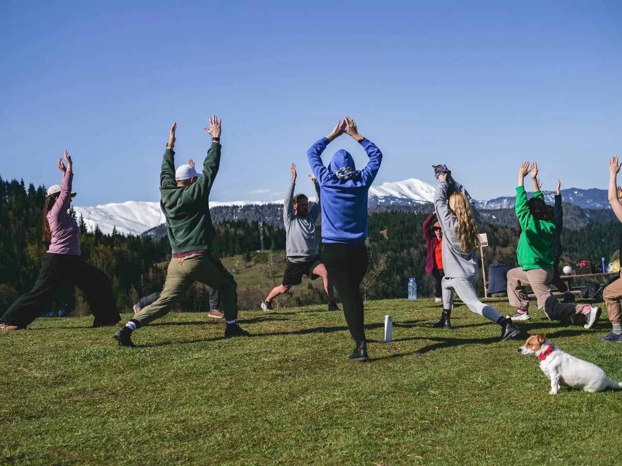 Sports & Movement
