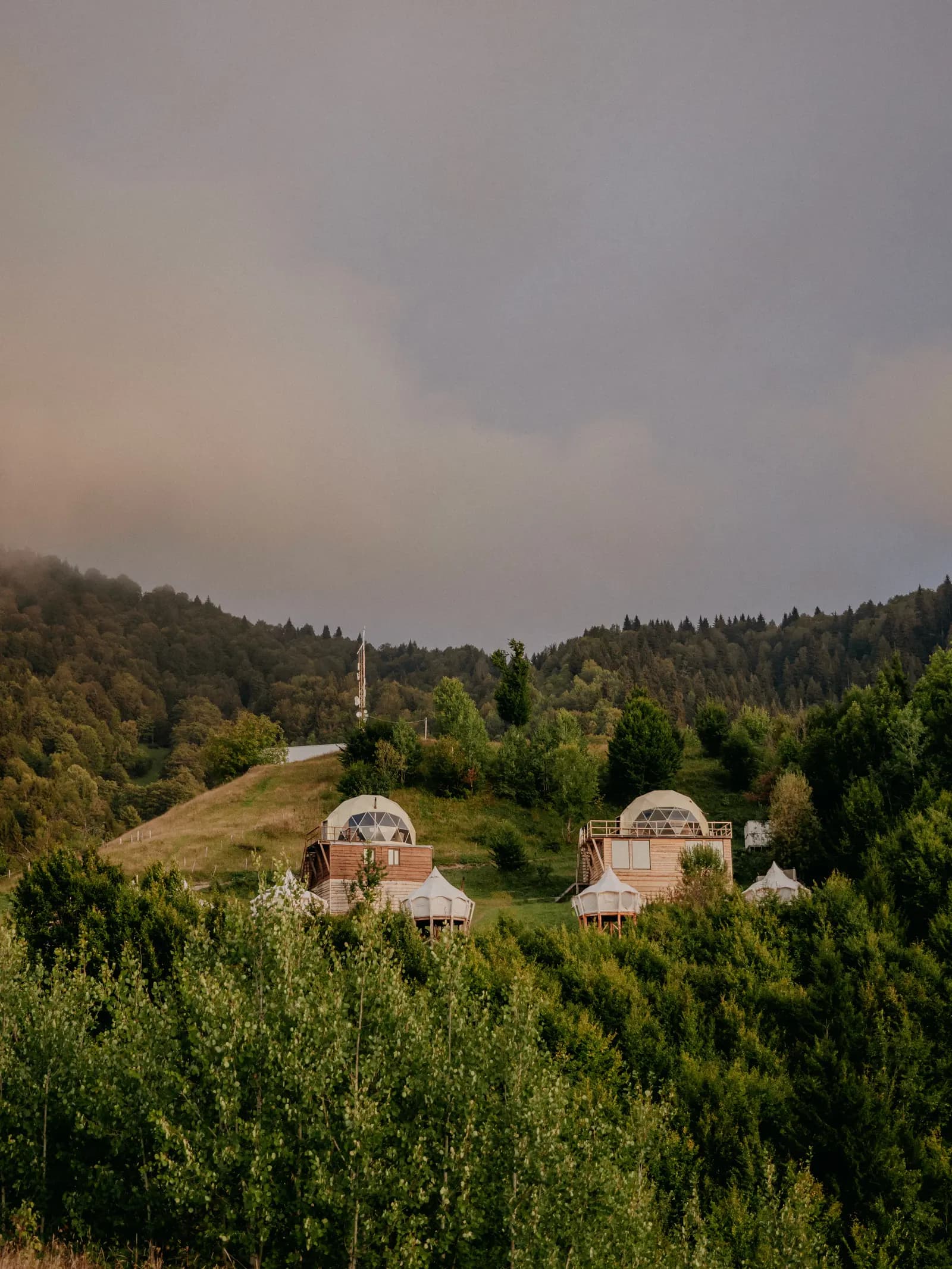 The Half Dome and tents among the greenery