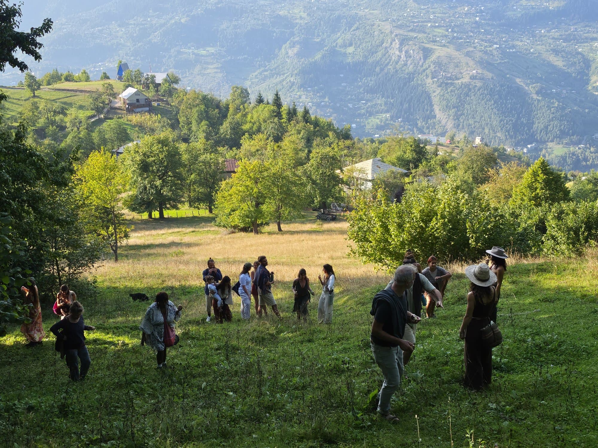 Guided forest & herb walk