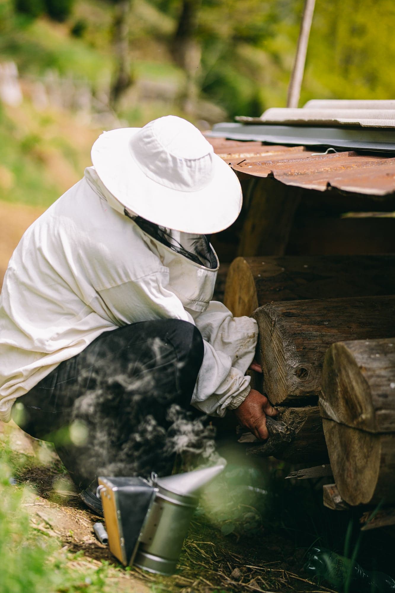 Jara Honey Tasting Tour + Georgian feast
